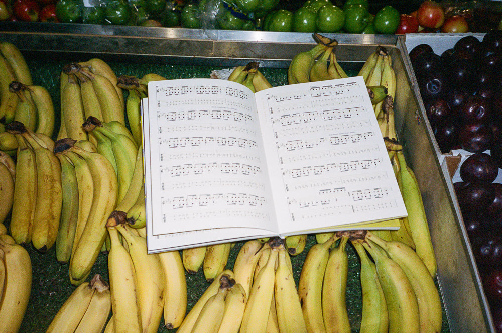 Flying Microtonal Banana Scorebook Model 11