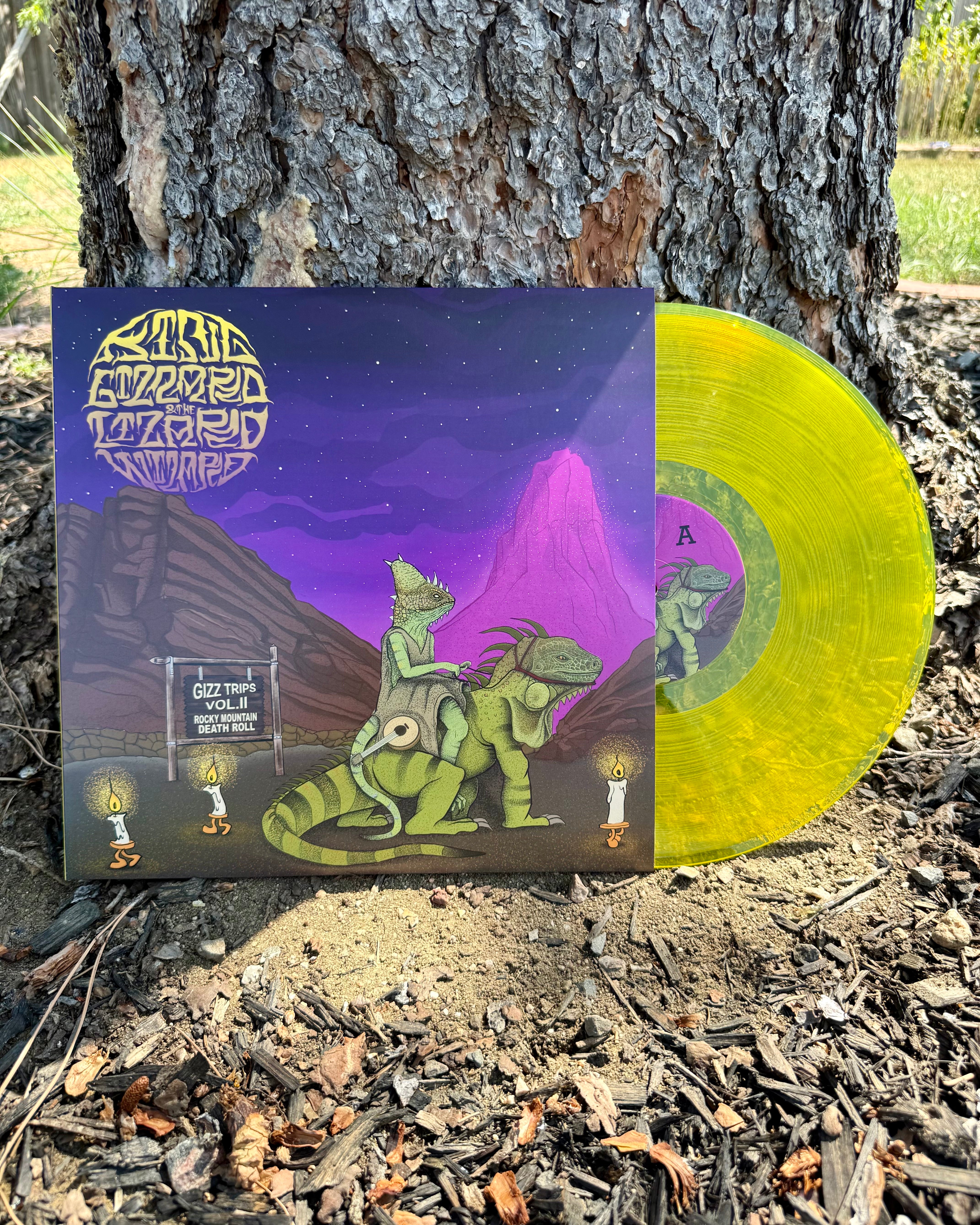 Gizz Trips Vol. 2: Rocky Mountain Death Roll - Adjacent Sun Edition Display