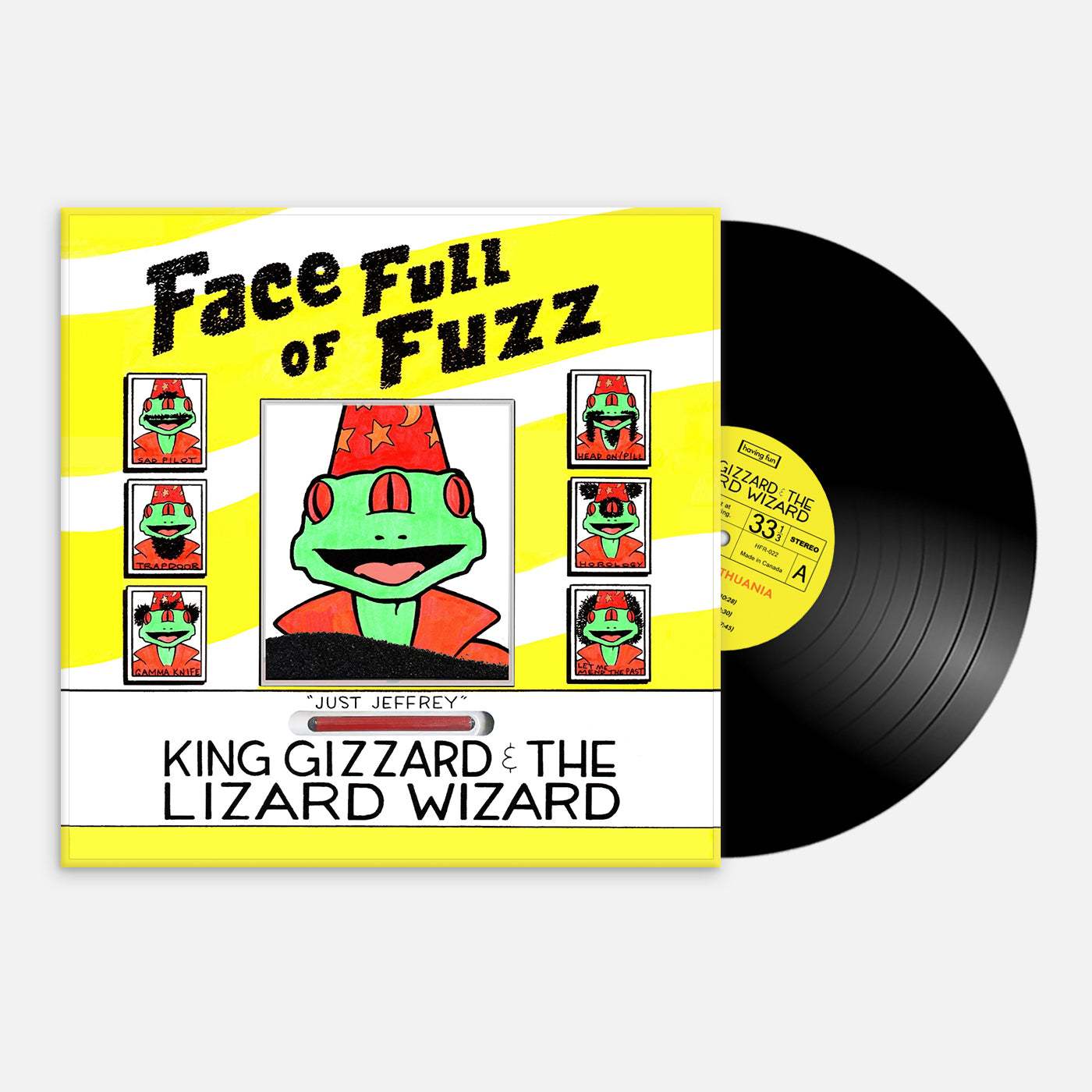 Face Full of Fuzz (Live in Lithuania '25)