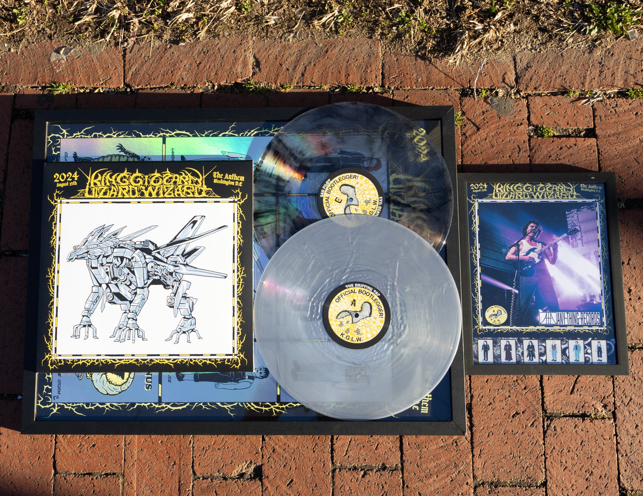 Live at The Anthem 8/15/24 Silver Dragon Edition (Bootleg By Any Thing Records) Lifestyle 2