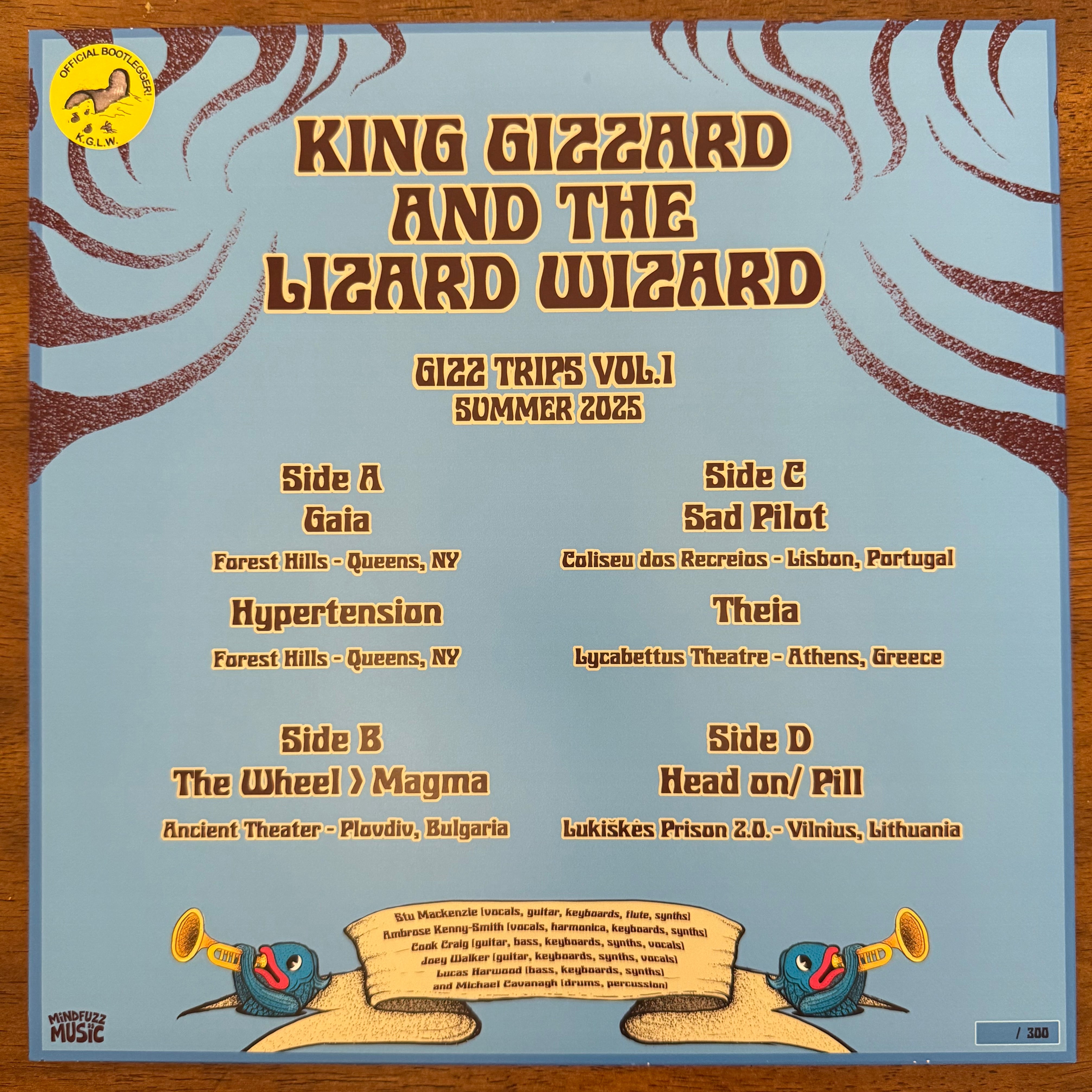 Gizz Trips Vol.1 - Summer 2025 Back