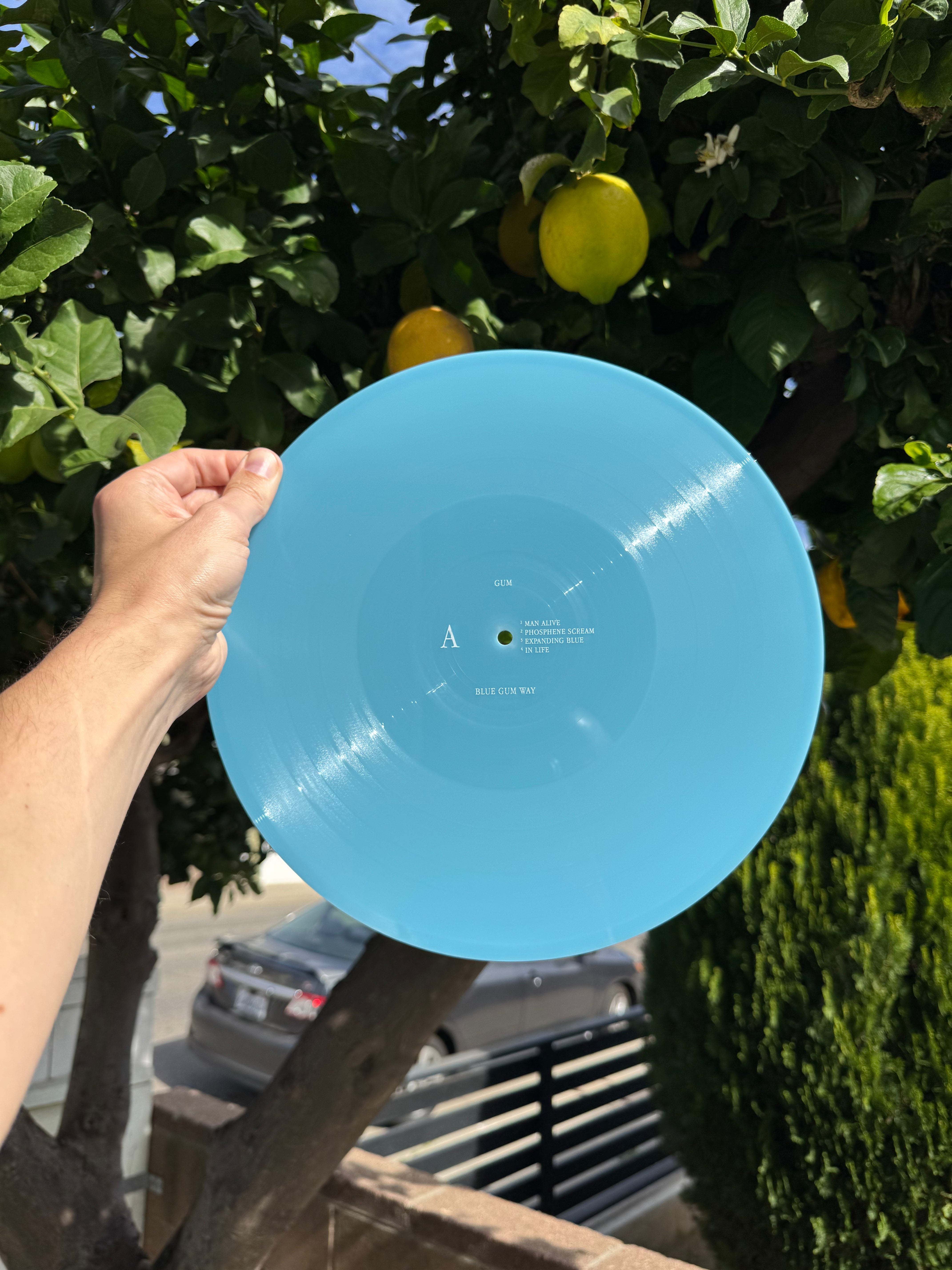 Blue GUM Way Lifestyle 2