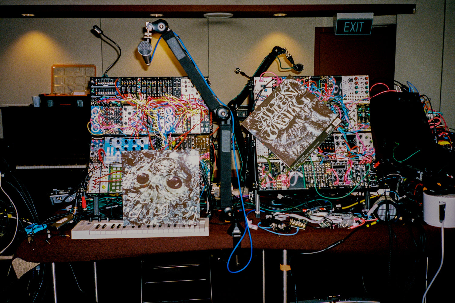 Alien Metal LP In Use 2