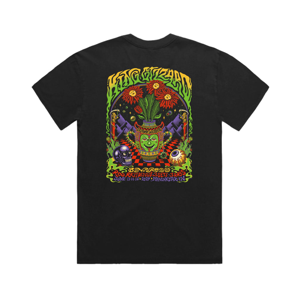 Bonnaroo 2025 Tee Back