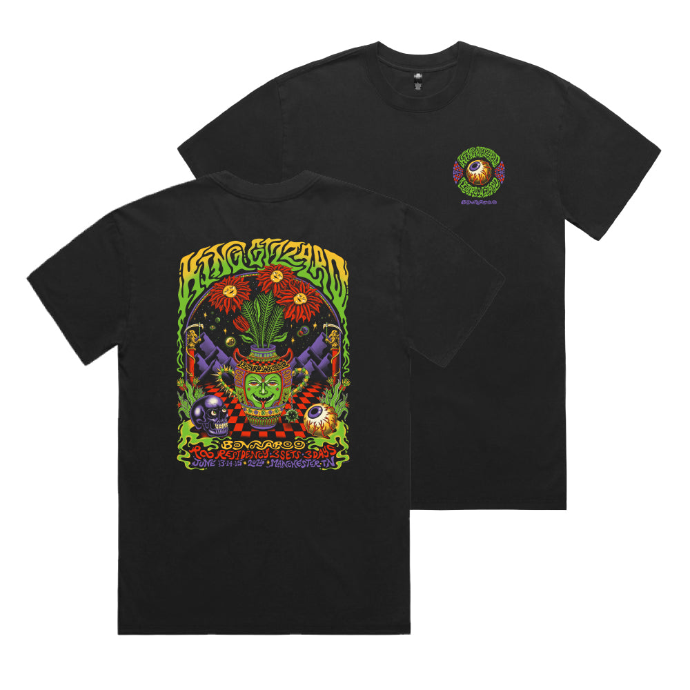 Bonnaroo 2025 Tee Front/Back