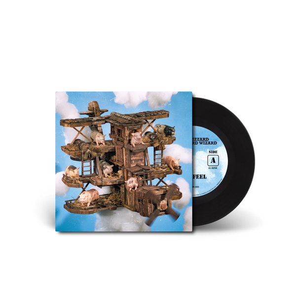 The Push Kings　Feel No Fade　レコード　LP a2194474880_2.jpg