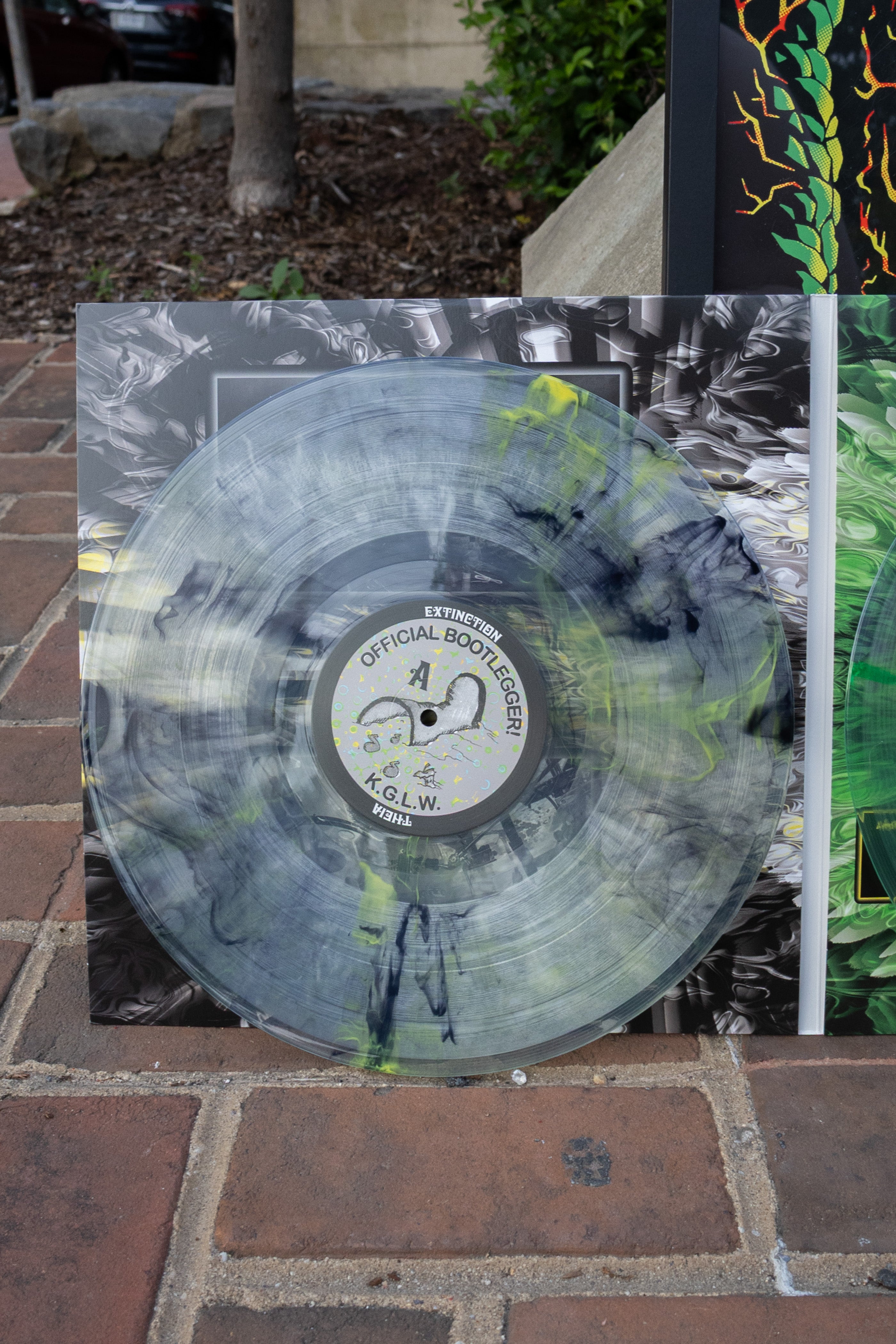Live At Brown's Island, Richmond VA 8/28/24 Lizard Wizard Edition (Bootleg By Any Thing Records) Lifestyle 2