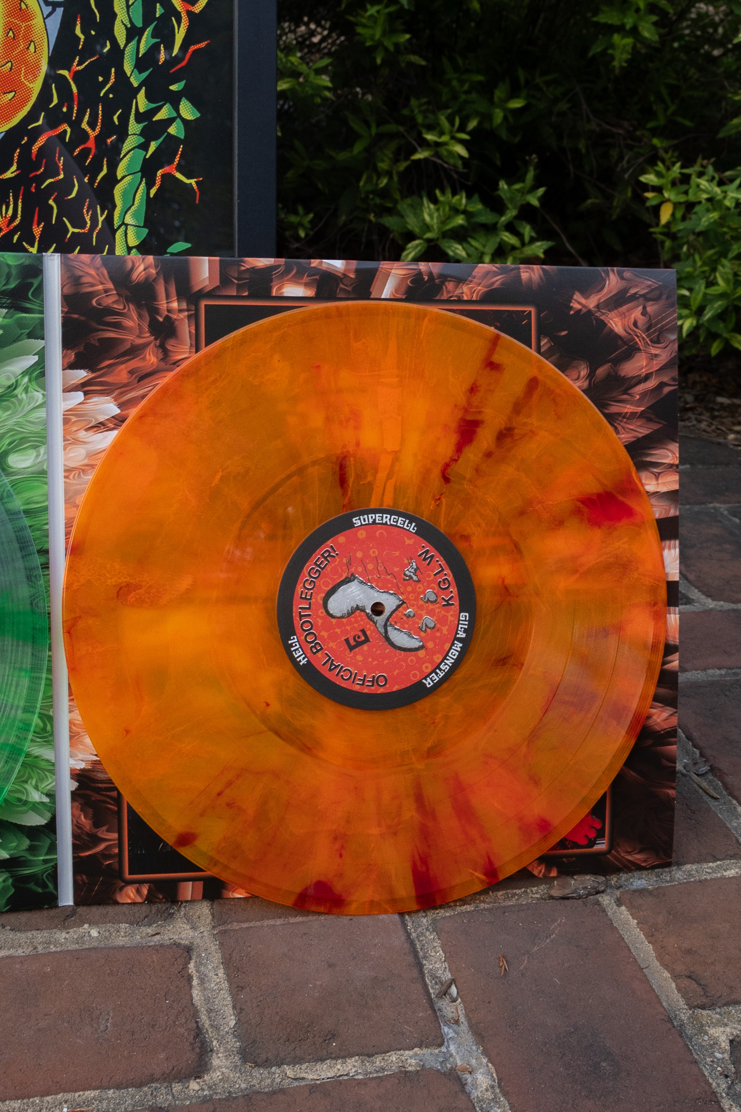 Live At Brown's Island, Richmond VA 8/28/24 Lizard Wizard Edition (Bootleg By Any Thing Records) Lifestyle 4