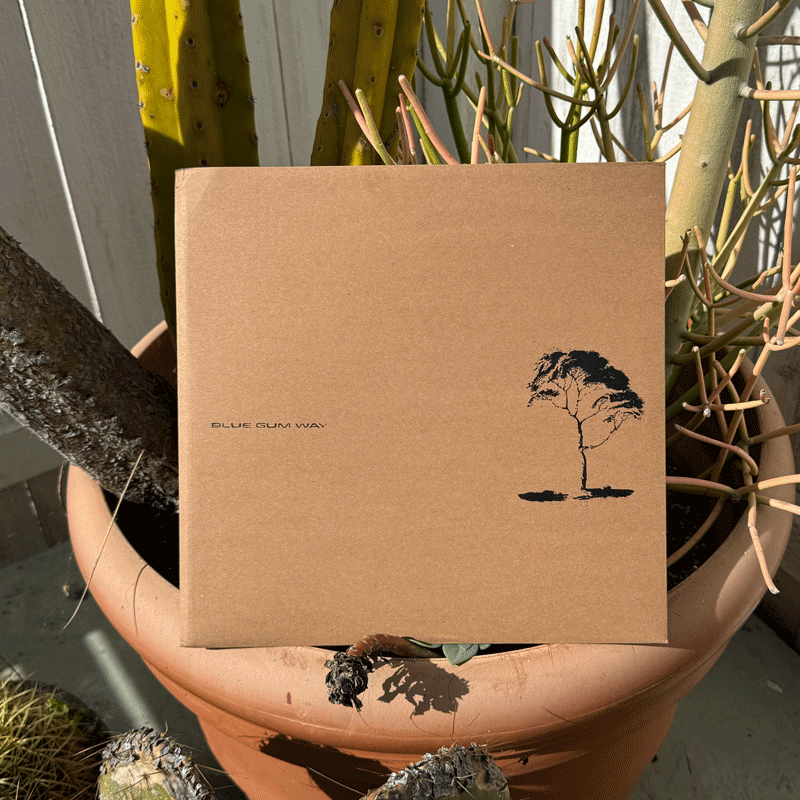 Blue GUM Way Unboxing Gif