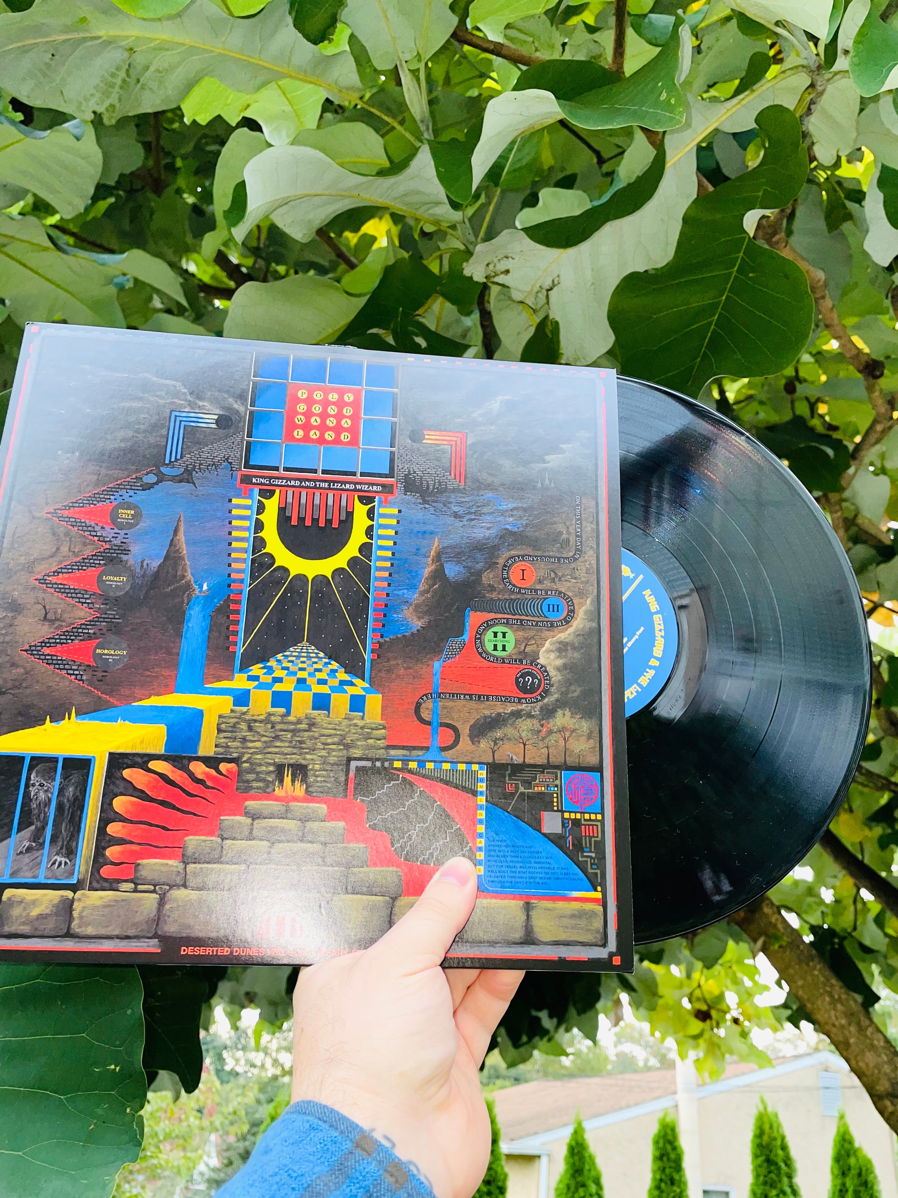 Polygondwanaland Heavenly Black LP